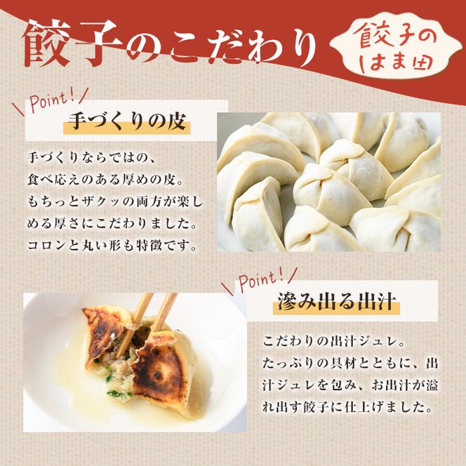 ＼テレビで紹介されました！／お出汁滲み出る和餃子(計48個・12個入り×4袋) 餃子 生餃子 ギョウザ ぎょうざ ギョーザ セット 詰め合わせ おかず お惣菜 冷凍 和風 水餃子【餃子のはま田】akn096-01