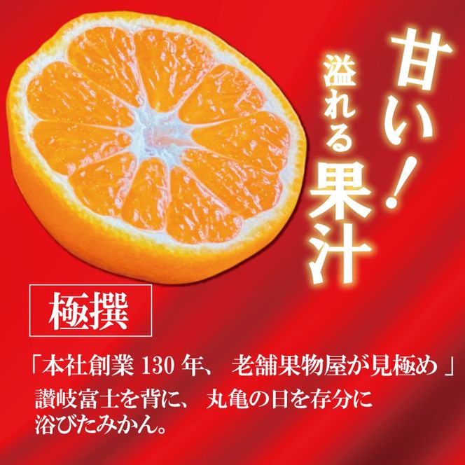 【2026年11月上旬より順次発送】【極撰】みかん 香川 温州みかん 約10kg フルーツ 果物 柑橘 柑橘類 デザート おやつ 旬 産地直送 冬の味覚 旬の果物 旬のフルーツ お取り寄せ 取り寄せ 送料無料 温州ミカン ミカン 蜜柑
