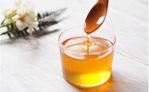  紀美野町産 純粋 みかん 蜂蜜 1.2kg / はちみつ みかん蜜蜂 和歌山 【twn603-mika-1d2】