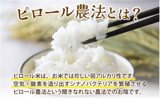 25年10月中旬以降順次発送　富山県滑川産 弱アルカリ性米「ピロール農法米 コシヒカリ」与文のお米（精米5kg）産地直送 袋 精米5kg おにぎり お米 白米 国産 ご飯 ごはん 富山県 滑川市 アグリめぐみ A-050002  アトピー 米