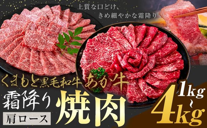 黒毛和牛 あか牛 肩ロース 焼肉 1kg 2kg 4kg《1月上旬-3月末頃出荷》熊本県 氷川町 牛 牛肉 和牛 ブランド牛---hkw_26_lcl_426_1kg---
