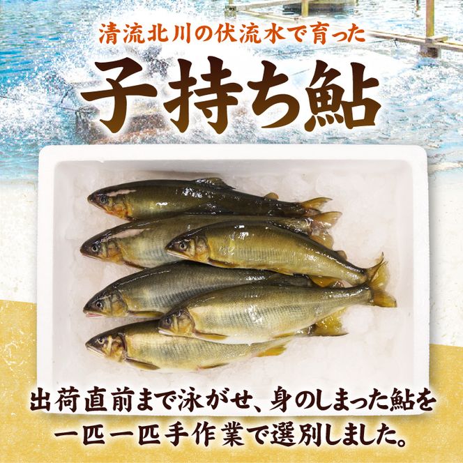 【冷凍】子持ち鮎約2kg N070-YB728-2