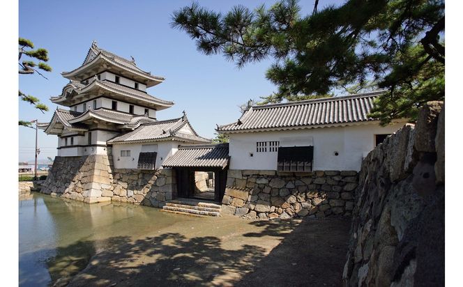 文化財専門員と行く！高松城ガイド見学ツアー 372013_KY002