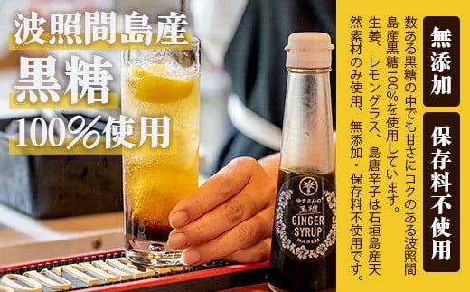 ジンジャーシロップ飲み⽐べ3種セット(120ML×3本) HW-1 【沖縄県石垣市 沖縄 沖縄県 琉球 八重山 八重山諸島 石垣 石垣島 送料無料 ⽯垣島産⽣姜 生姜 シロップ ジンジャー ジンジャーシロップ グラニュー糖 黒糖 砂糖 ⾚唐⾟⼦ 果汁 塩 ⽯垣の塩 レモングラス レモン フルーツ ミント ギフト 国産】