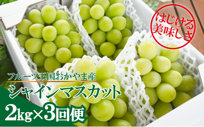 【2026年先行予約】岡山のシャインマスカットを楽しむ満足3回便！3-5房入×3回/全便計6.0kg~ (定期便)(岡山県産)【KF-T047-03】