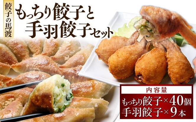 【宮崎空港で大人気!】TV番組で餃子日本一獲得!＜餃子の馬渡馬渡のもっちり餃子40個と手羽餃子9本セット＞翌月末迄に順次出荷【c014_mw_x3】 餃子の馬渡 ぎょうざ ギョウザ 手羽先餃子