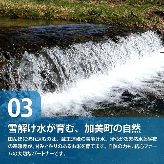 【10kg×6回 計60kg】 米 宮城県産 つや姫　定期便 《 令和7年産 新米 》 ブランド米 白米 精米 ご飯 ごはん コメ こめ お米 小分け 家庭用 結心ファーム [ 宮城県 加美町 ]   |  yu-th10-t6-r7