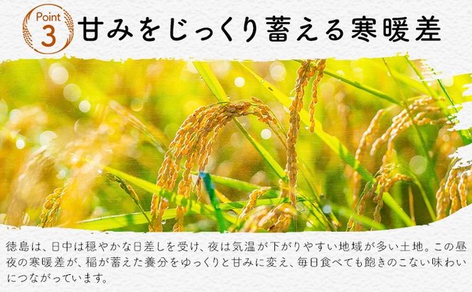 ★先行予約★白米 徳島ふるさと応援米 選べる 5kg 10kg 20kg《2026年11月以降順次出荷》 生活応援企画 米 精米 送料無料 徳島県 佐那河内村 白米 ブレンド米 こめ コメ お米---sanagouchi_lcl_90_5kg---