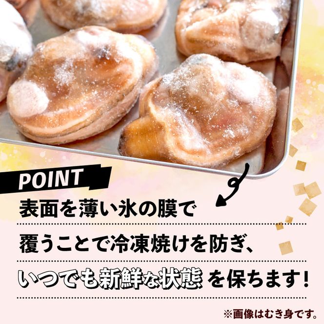 【限定寄附額】 大アサリ 半割 約2kg おおあさり