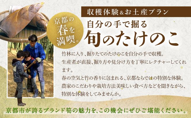 【清水農園】『京たけのこ』収穫体験＋1キロのお土産付プラン 2026年4月19日(日)  (1)10時～の部 1名様分［ 京都 タケノコ 人気 おすすめ 親子 ファミリー 子供向け 送料無料 ふるさと納税 ］ 261009_A-HL010