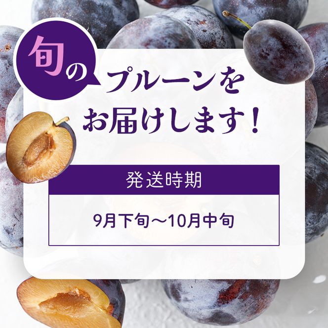 [先行受付]【9月後半～10月発送】北海道 仁木町産 おすすめ プルーン 800g（400g×2パック） 果物類 果物 くだもの フルーツ 果物詰合せ [和田農園]