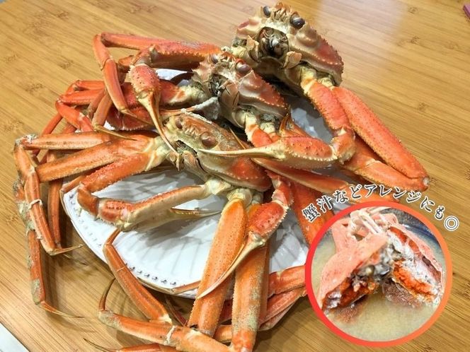 【数量・期間限定】【訳あり】新潟県村上市寝屋漁港産　本ズワイガニ夫婦セット 約3kg（雄 約2kg＋セコガニ 約1kg） 1079003