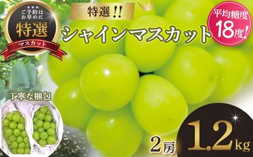 【2025年発送】 特選 シャインマスカット 2房 約1.2kg 先行予約 山梨県産 産地直送 フルーツ 果物 くだもの ぶどう ブドウ 葡萄 シャイン シャインマスカット 新鮮 人気 おすすめ 国産 贈答 ギフト お取り寄せ 山梨 甲斐市 AN-129