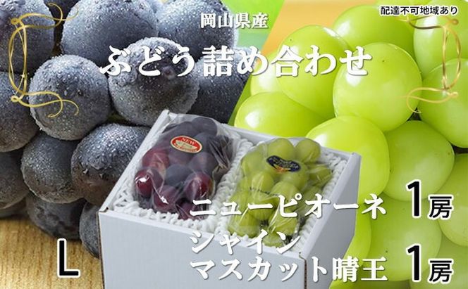 ぶどう 2026年 先行予約 ニュー ピオーネ 1房 約400g シャイン マスカット 晴王 1房 約400g 詰め合わせ 8月下旬～9月下旬発送 岡山県産 国産 フルーツ 果物 ギフト 岡山の葡萄 食べ比べ