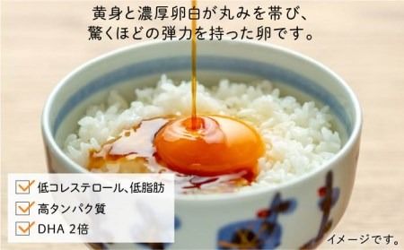 【 全6回 定期便 】 こだわり の 卵 「 天上卵 」 40個 セット 《糸島》【株式会社おおはまファーム】[AKH007]【 全6回 定期便 】 こだわり の 卵 「 天上卵 」 40個 セット 《糸島》【株式会社おおはまファーム】[AKH007]