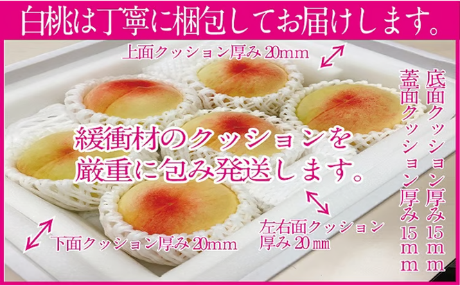 桃 2026年 先行予約 岡山の白桃 300g以上×6玉 白桃 旬 みずみずしい 晴れの国 おかやま 岡山県産 フルーツ王国 果物王国 デザート 岡山の桃 旬の桃 [№5735-1328]