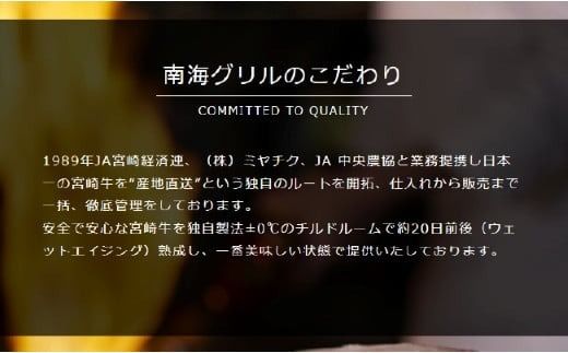 【運用開始記念！】熟成宮崎牛A5等級サーロインステーキセット 500g オリジナルソース付き（牛肉 お肉 ブランド牛 黒毛和牛 ステーキ サーロイン）