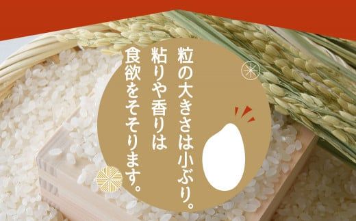 みやこんじょ育ち都城産ひのひかり10kg≪みやこんじょ特急便≫_33-K701-Q
