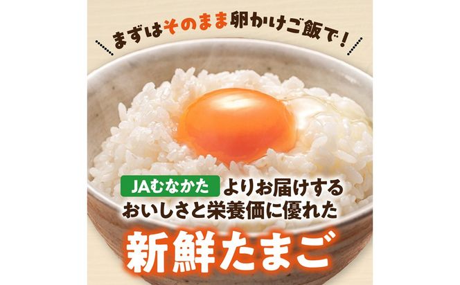 【毎月お届け】新鮮 赤卵「宗像たまご」Mサイズ 40個×12ヶ月定期便 (36個＋補償4個)【JAほたるの里】_HB0216