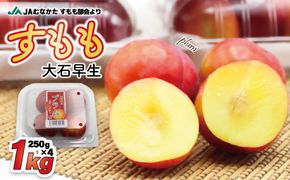 【JAむなかた すもも部会より】すもも(大石早生)1kg(250g×4パック)【JAほたるの里】_HA1254