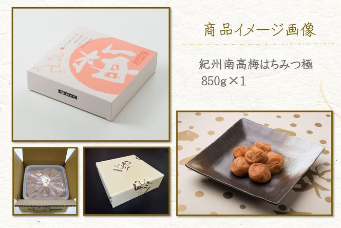 【定期便・3ヵ月毎 全3回】紀州南高梅 はちみつ極 850g ［YM10］ 303446_DX90026