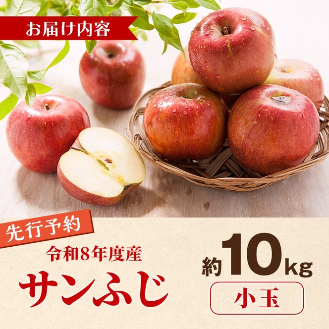 【2026年11月下旬～発送予定】 先行予約 訳あり りんご サンふじ 小玉 約10kg フルーツ 果物 林檎 甘い 訳あり