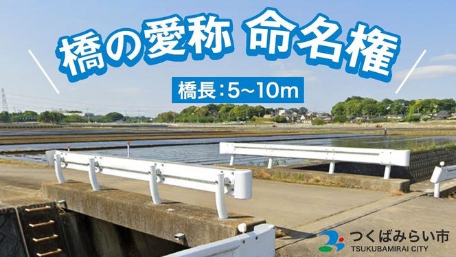 y錧΂݂炢sz΂݂炢s ̈  i5m`10mj     Â  L l[~OCc [EO01-NT]