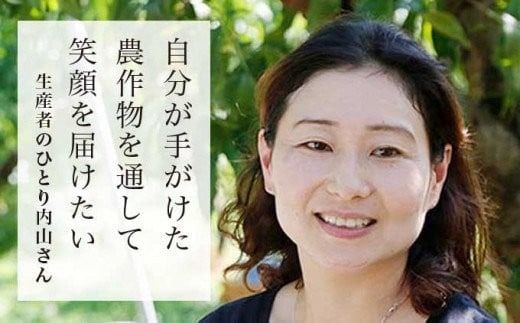 ナガノパープル 約1.5kg 2～3房 [おぶせファーマーズ] 果物 フルーツ ぶどう 葡萄 冷蔵便 クール便 長野県産 信州産 令和7年産 【2025年9月中旬〜10月上旬発送】 ［FB-22］