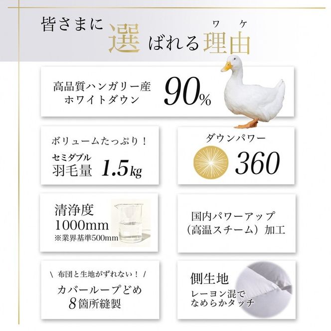 【パウダーグレー（無地）】京都金桝 冬用羽毛布団 セミダブルサイズ×1枚 無地 シンプル 【ふとん 布団 寝具 国産 日本製 羽毛布団 羽毛ふとん 羽毛ぶとん うもうぶとん うもうふとん 本掛け 羽毛布団セミダブル 掛け布団 掛布団】アクア