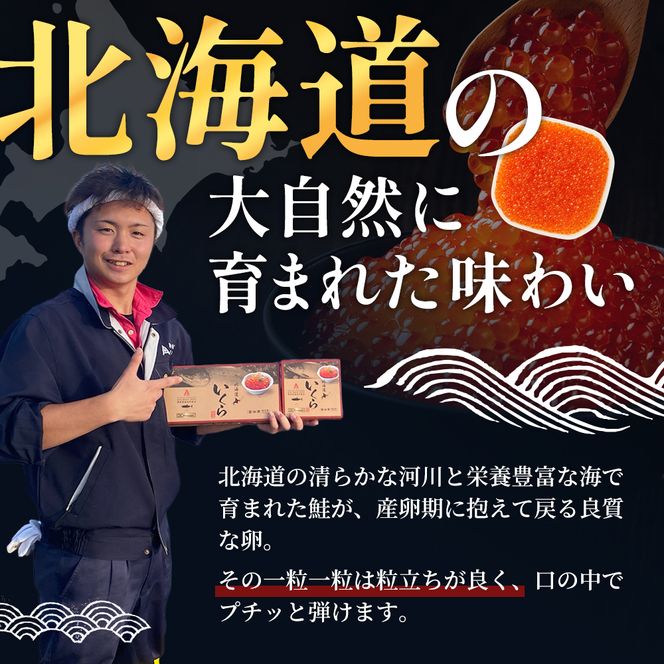 北海道産 いくら 醤油漬け 200g 魚貝類 魚卵 いくら醤油漬け イクラ 