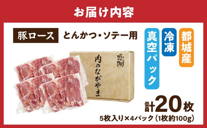 豚ロースとんかつ・ソテー用20枚 - _AA-2506_ ( 都城市 ) 豚肉 豚ロース とんかつ ソテー 100g×5枚×4パック 計20枚 豚 真空パック 冷凍保存
