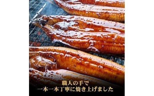 厳選!!高知県産うなぎの蒲焼き(1尾) 6回定期便 うなぎ 蒲焼 高知県産 定期便 ふるさと納税 国産 国内産 養殖 鰻 蒲焼き うな重 うな丼 土用丑の日 スタミナ料理 夏バテ対策 グルメ お取り寄せ 冷凍 レンジ調理 簡単調理 タレ付き 職人技 丁寧 ふわふわ 柔らか 香ばしい 旨味 風味 脂のり 高知 特産品 名物 伝統料理 安芸市 高知県