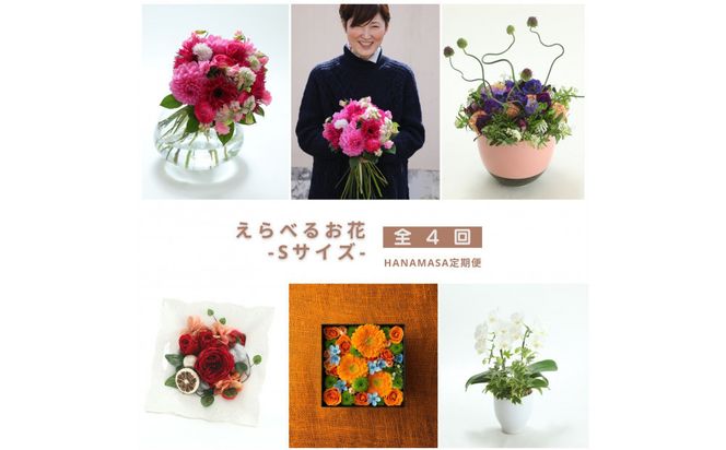 季節ごとに届く、えらべるお花　Sサイズ（4回お届け）【季節ごとに届く、えらべるお花 Sサイズ フラワーライフ 世界らん展 フラワードリームジャパンカップ フラワーアレンジメント 6種類のフラワースタイル 神奈川県 小田原市 】 142069_BN032