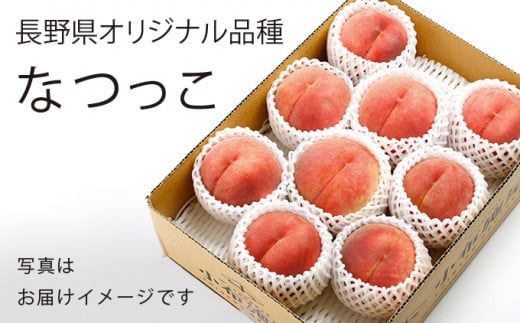 なつっこ (白桃） 約3kg 7～12玉 ［小布施屋］ 桃 白桃 もも モモ フルーツ 果物 令和8年産 【2026年8月上旬～中旬発送】