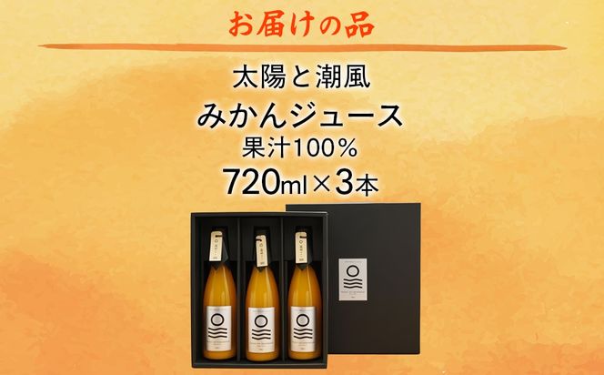 【先行予約】【愛媛県産】太陽と潮風みかんジュース（720ml×3本） 果汁100％（2025年12月より発送予定） IKTI010