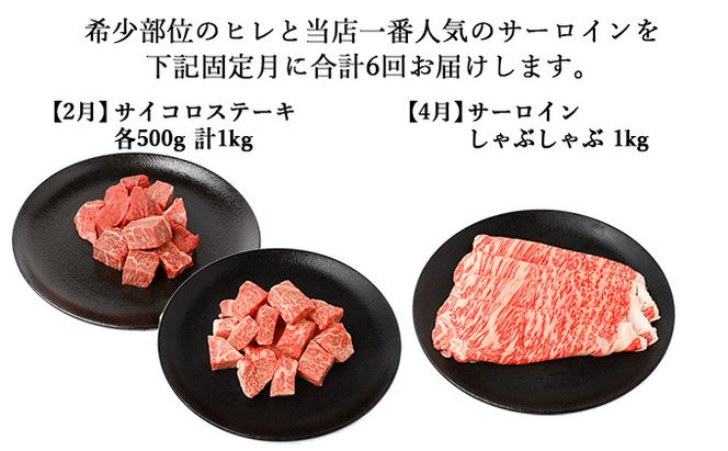【年6回偶数月発送】伊賀牛 A5ヒレ・サーロイン 定期便A 総合計約6.1kg dido-tkb0025