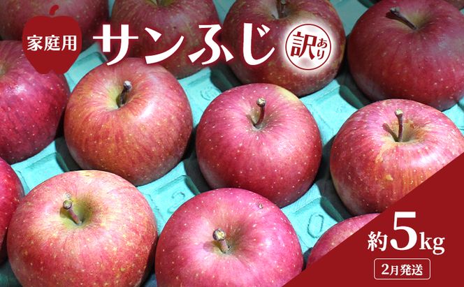 【平均糖度13度以上】2月発送 家庭用 訳あり サンふじ 約 5kg りんご リンゴ 林檎 果物 フルーツ わけあり 青森