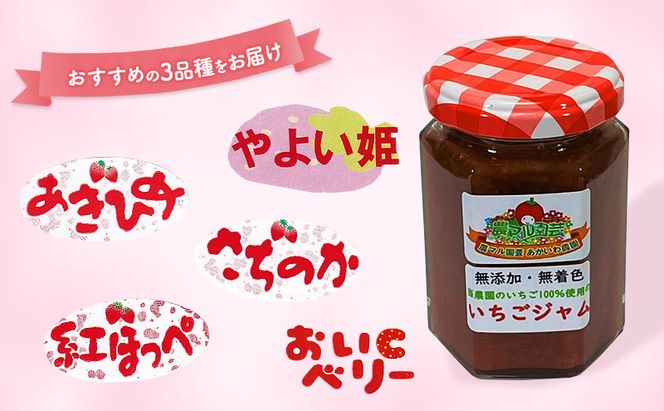 いちごジャム 食べ比べ 3種 セット ※3種の選定お任せ いちご 農マル園芸 あかいわ農園 岡山