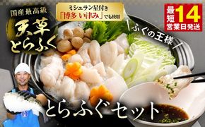 【ミシュラン星付きのプロが愛用】ふぐの王様！とらふぐ 国内最高級！天草とらふぐセット
