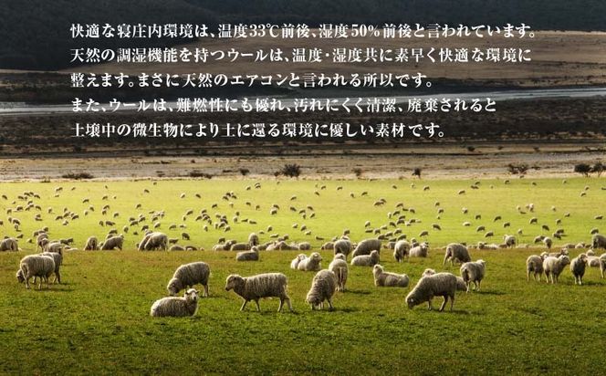 メリノウールシーツ【ウール100%】【Dダブルサイズ】【ホワイト】【洗濯可】【日本製】【大恒リビング】EZ336