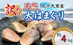 訳あり はまぐり 規格外 大はまぐり 10パック 計 4kg 貝 海鮮 魚介 海の幸 ハマグリ 蛤 海産物 国産 天然 産地直送 千葉県 九十九里 九十九里浜