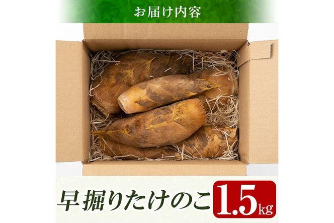 a806  ＜先行予約受付中！2026年12月下旬～2027年2月末の間に発送予定＞数量限定！早堀り筍(正味約1.5kg)【夢竺山株式会社】国産 早堀り たけのこ タケノコ 筍 竹の子