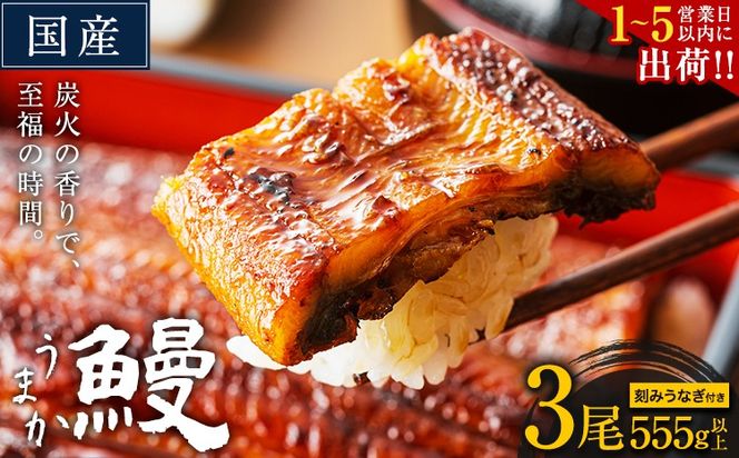 うなぎ 国産 鰻 特上サイズ 3尾 合計555g (刻みうなぎ30g×2袋含む) うまか鰻 《1-5営業日以内に出荷予定(土日祝除く)》 九州産 たれ さんしょう 付き ウナギ 鰻 unagi 蒲焼 うなぎの蒲焼 惣菜 ひつまぶし きざみうなぎ 特大サイズ 訳あり 定期便 蒲焼き ふるさとのうぜい---mf_fskiungkzm_24_s_18000_3p​---