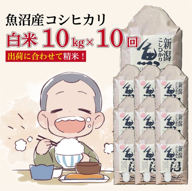 【１０か月定期便】令和８年産新米　魚沼産コシヒカリ 精米10kg×10回　計100kg