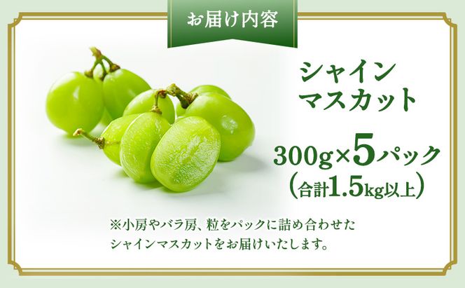 ぶどう 2026年 先行予約 シャインマスカット 300g×5パック(1.5kg以上) ブドウ 葡萄 岡山県産 国産 フルーツ 果物 ギフト OEC KINGDOM ぶどう家 果物類