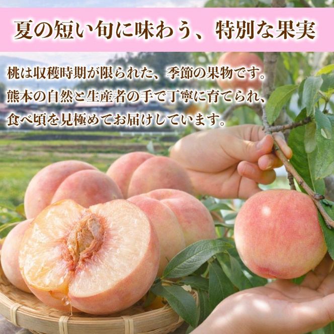 もも 約4kg（10～22玉）【桃 もも モモ 果物 フルーツ デザート 食後 錦町産】※配送不可：離島