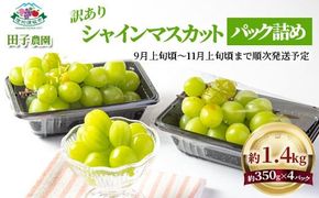 【訳あり】シャインマスカット パック詰め 約1.4kg (約350g×4パック) 粒サイズMIX 《田子農園》■2025年発送■※9月上旬頃～11月上旬頃まで順次発送予定