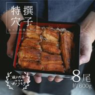 穴子 焼き穴子 8尾入 600g 蒲焼き 小分け 真空パック 厳選 特選 不揃い 小ぶり 魚貝類 魚介類 おかず 和食 魚料理 青島 冷蔵 冷蔵配送 岡山 岡山県 瀬戸内市