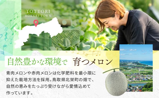 【先行予約】956.【ふるさと納税】青肉メロンディーバと赤肉メロンプリモレッドのセット ※日本全国配送可能  2026年10月上旬頃～11月上旬頃に順次発送予定 313726_BQ012