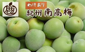 ＜6月発送＞家庭用 紀州南高梅(青梅)2kg+250g（傷み補償分）【朝摘み・とれたて直送便】【梅干し・梅酒・梅ジュース】【和歌山産】【わけあり・訳あり】